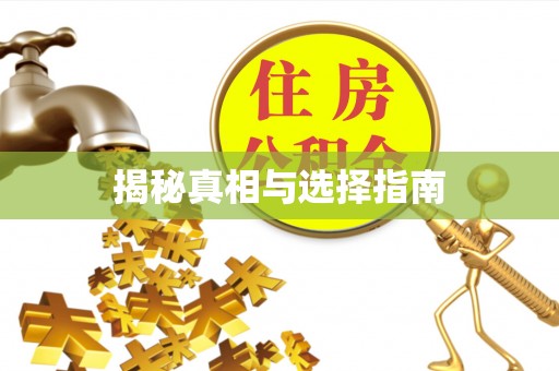 鄂城揭秘真相与选择指南
