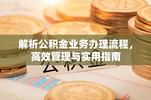 鄂城解析公积金业务办理流程，高效管理与实用指南