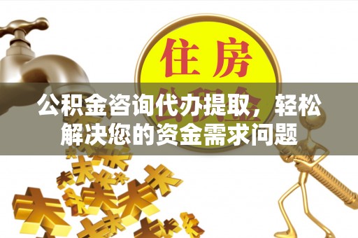鄂城公积金咨询代办提取，轻松解决您的资金需求问题
