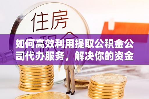 鄂城如何高效利用提取公积金公司代办服务，解决你的资金难题