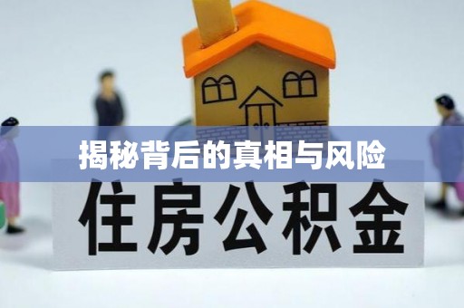 鄂城揭秘背后的真相与风险