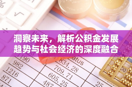 鄂城洞察未来，解析公积金发展趋势与社会经济的深度融合